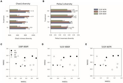 Comparative evaluation of 16S rRNA primer pairs in identifying nitrifying guilds in soils under long-term organic fertilization and water management
